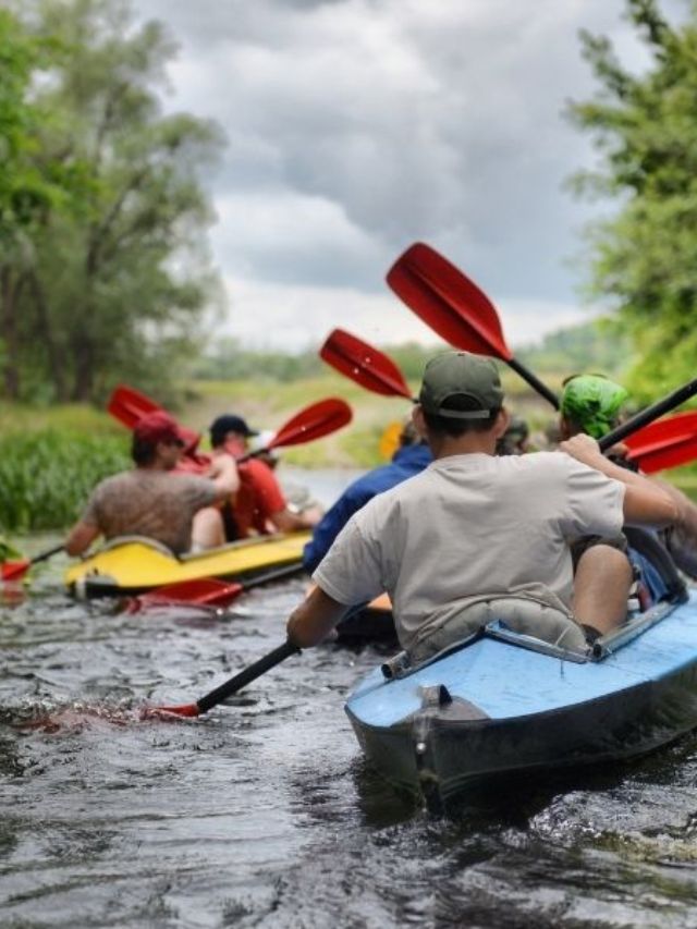 7 Best State Parks for Outdoor Adventures in Florida