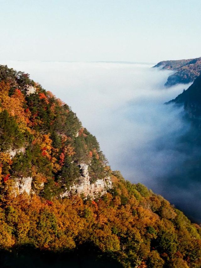 Top 7 Natural Wonders Showcasing Georgia’s Beauty