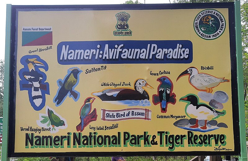 Why Visit Nameri National Park