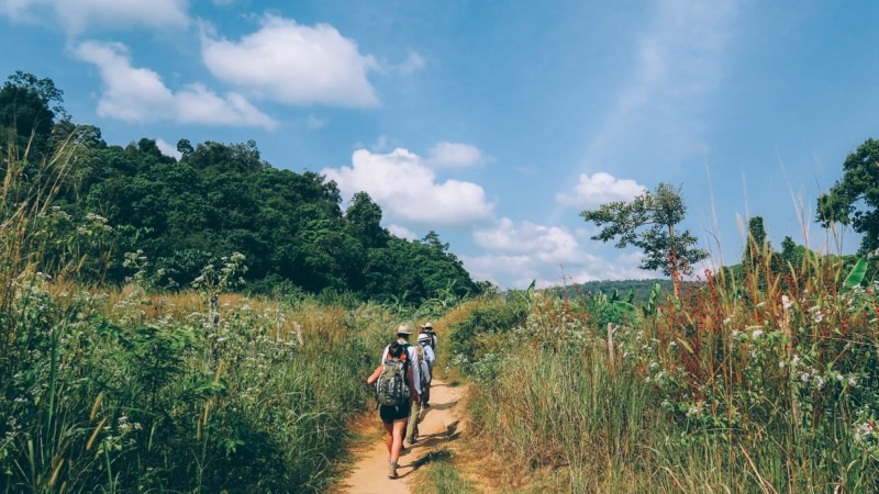 Go Trekking in The Cardamom Mountains