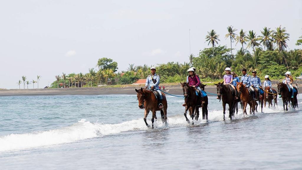 Taking a Ride Along the Beach on a Horse