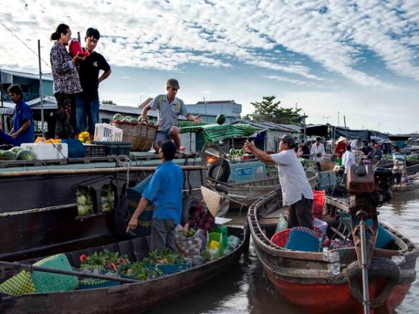 Indulge in Fresh Seafood at Vinh Luong Fishing Port