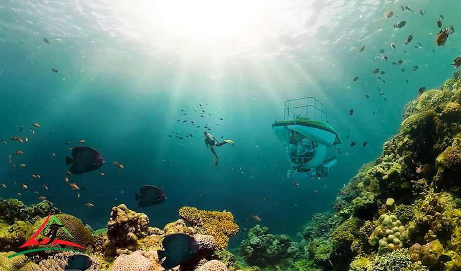Dive into the Underwater World at Hon Tam Island