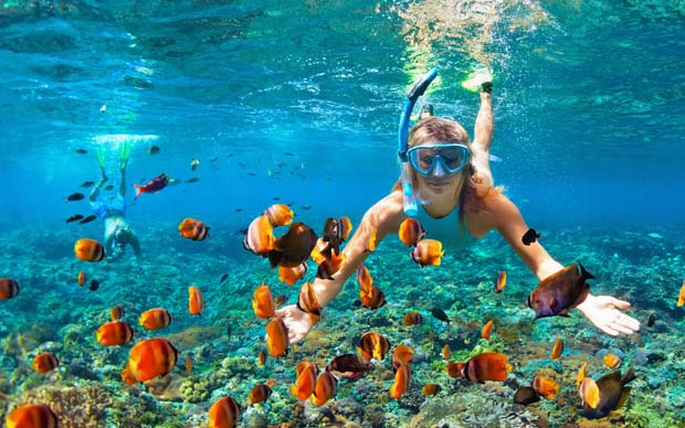 Snorkeling and Diving Adventures