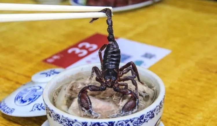 Feast on Pho, Snake, and Scorpion