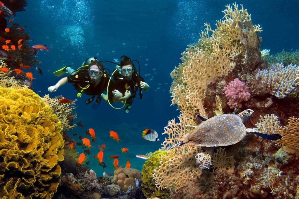 Dive into Bali's Underwater Paradise