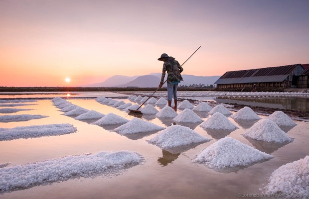 Visit the Salt Fields of Kampot