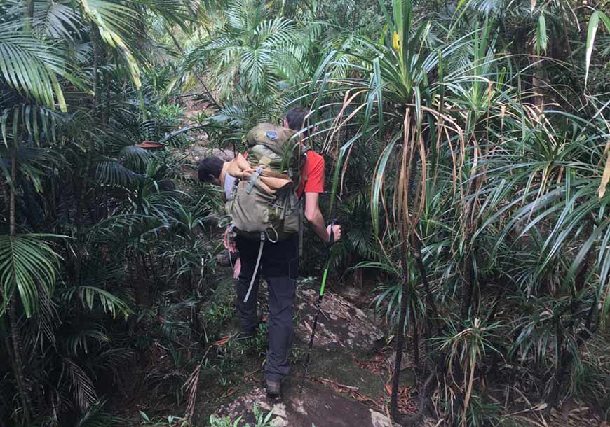 Go on a Jungle Trekking Adventure