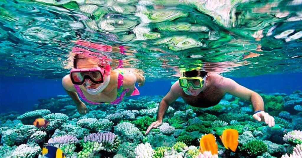 Snorkel or Dive in The Coral Reefs