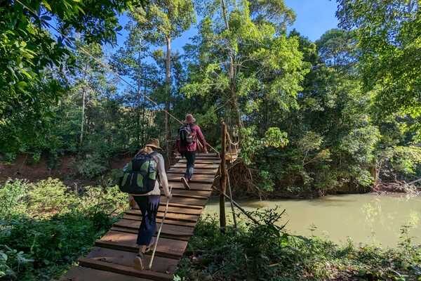 Go on a Guided Jungle Hike