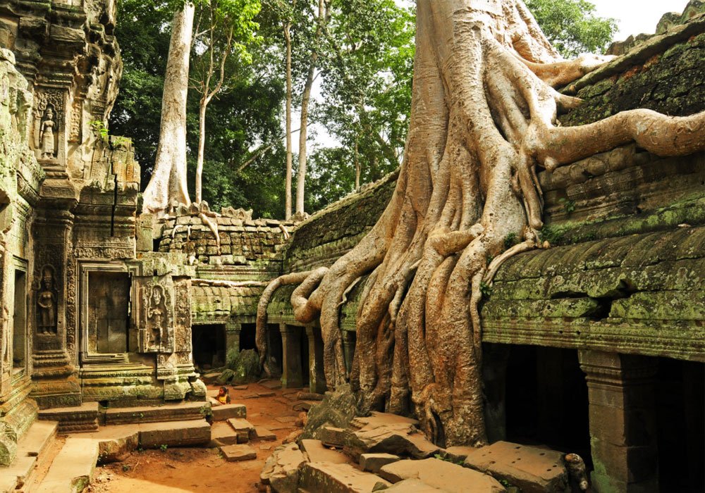 Discover Ta Prohm Temple