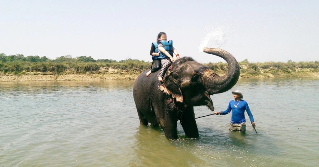 Unethical Elephant Tourism
