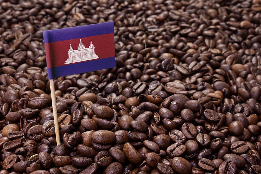 Cambodian Coffee
