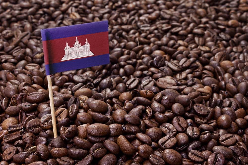 Cambodian Coffee