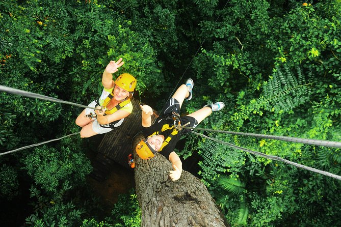 Experience the Thrill of Ziplining in the Rainforest