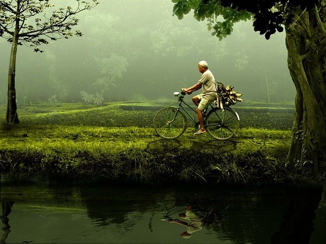 Experience The Cambodian Countryside On A Bike Tour