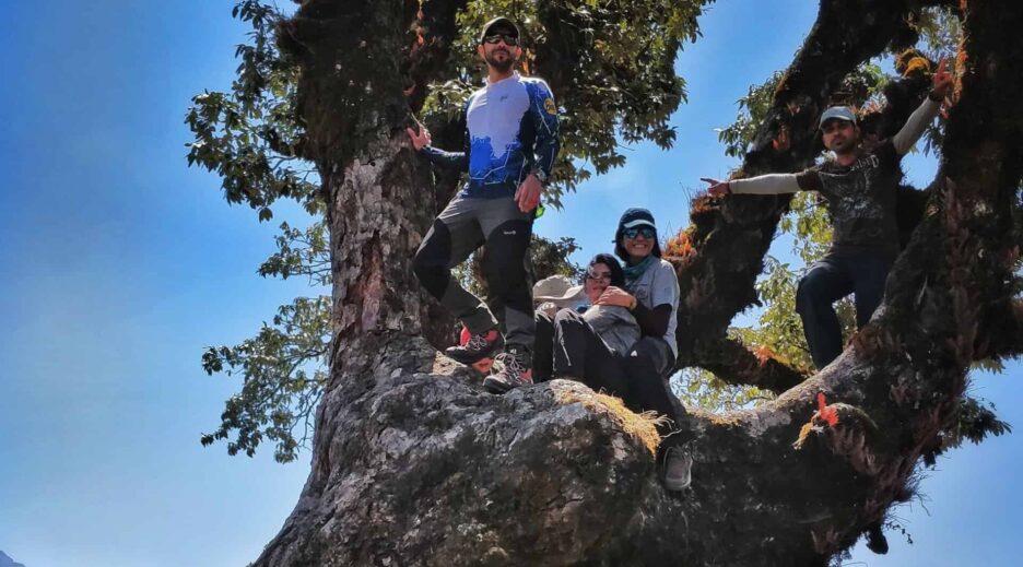 {{brizy_dc_image_alt imageSrc=