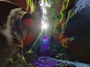 {{brizy_dc_image_alt imageSrc=