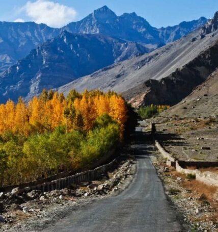 spiti valley,Spiti Valley road trip,spiti valley road trip package,spiti valley itinerary,spiti valley temperature,Spiti Valley road trip itinerary,spiti valley destinations,how to drive to spiti,Shimla,Chitkul,Sangla,Kalpa,Geyu Mummy,Dhankar Lake,Pin Valley,Kibber,Hikkim,langza,Spiti Valley Group Trip