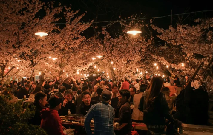 hanami 01 scaled 2560x1439