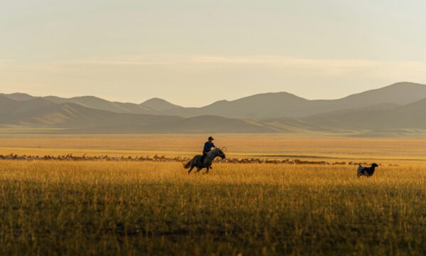 mongolia hd image (2)