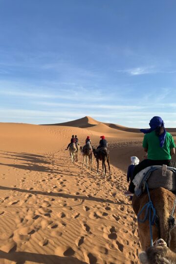 {{brizy_dc_image_alt imageSrc=