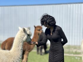 newzealan group trip10