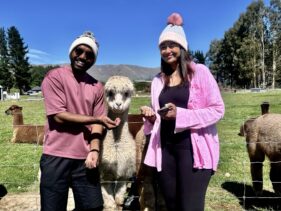 newzealan group trip16