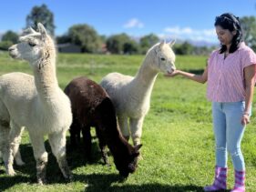 newzealan group trip9