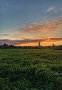 {{brizy_dc_image_alt imageSrc=