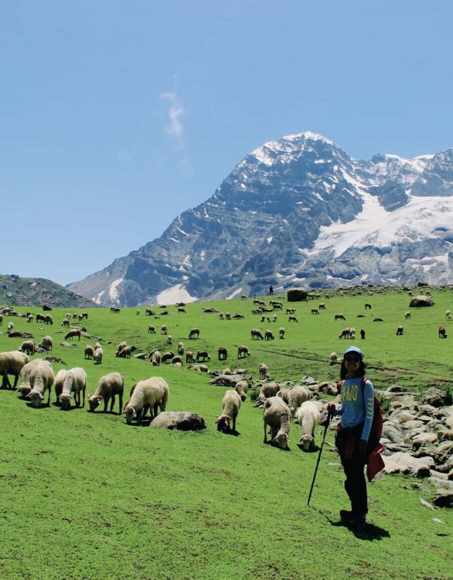 {{brizy_dc_image_alt imageSrc=