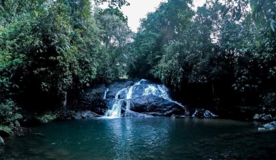 Wayanad Small Waterfall 27 1660065555 Kerala group trip