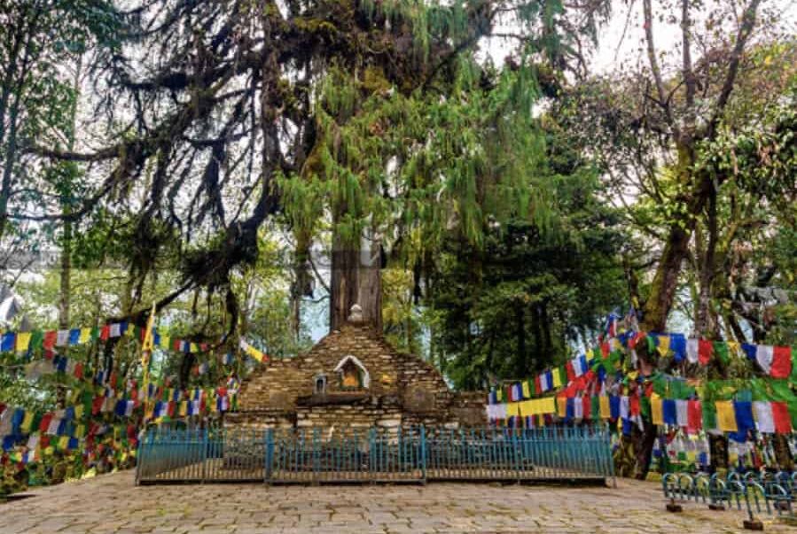 Serene Sikkim,camping in sikkim,riverside camping in sikkim,things to do in sikkim,best season to visit sikkim darjeeling,best time to go to sikkim gangtok,best places to visit in sikkim,best time to visit darjeeling gangtok sikkim,best places to visit in sikkim and darjeeling,how to plan sikkim darjeeling tour,best tour packages for sikkim darjeeling,Bhagdogra,Gangtok,Changu Lake Visit,Gangtok Local Sightseeing,Pelling,Ravangla,Pelling Sight,Yuksom,Baghdogra