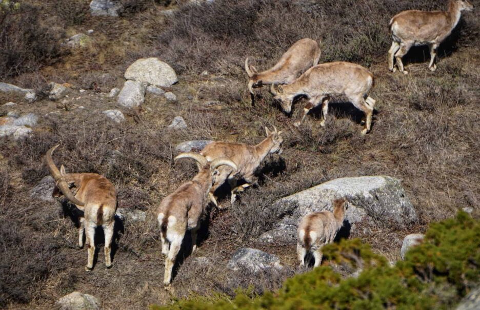 {{brizy_dc_image_alt imageSrc=