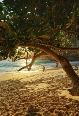 Bali-Gilli T-Nusa Penida